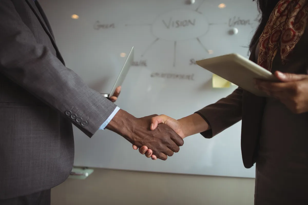 Project, programme and PMO services
